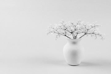 bouquet of small delicate white elderberry flowers in a white jug black and white photo with copy space