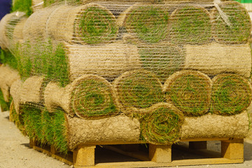 Stacks of sod rolls for new lawn