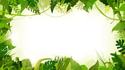 Foto op Plexiglas Jungle Tropical Landscape Wide Background/ Illustration of a jungle landscape background, with ornaments made with leaves and foliage of tropical plants and trees © benchart