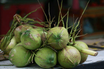 Fresh Coconut from garden