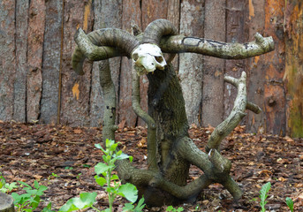 skull with horns on a sawn tree