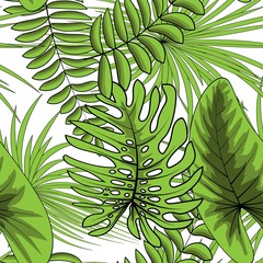 Tropical leaves, palms, monstera leaf, floral vector seamless pattern background.