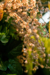 Simulation flowers simulation trees store within the Chatuchak weekend market. Bangkok, Thailand.