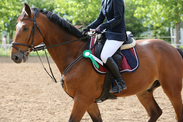 Fototapeta premium Head shot closeup of a beautiful award winner racehorse