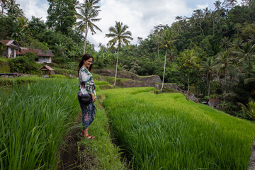 Naklejka na ściany i meble Beautiful woman on green rice fields in Bali