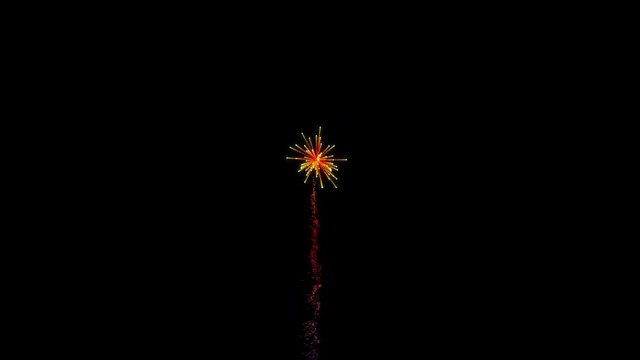 4k single firework on dark sky.Motion 3D Render