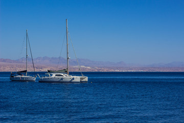 Obraz premium cruise vacation bright concept photography of two white speed yachts on Gulf of Aqaba Red sea bay calm water surface with Jordanian desert mountain ridge background 