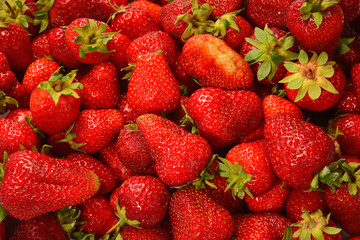 Strawberry. Fresh berries macro. Fruit background. Top view.