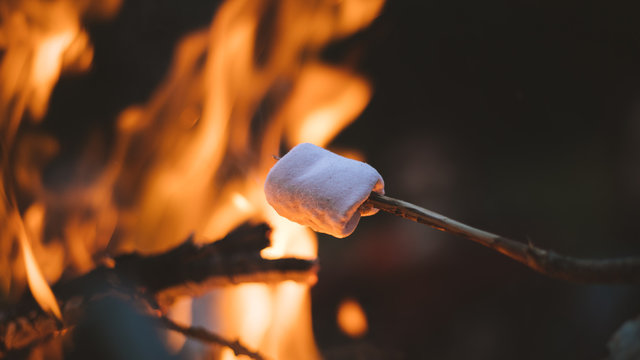 marshmallow on a camp fire during camping in nature