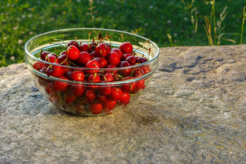 ripe red sweet cherry in a glass bowl on a large stone in the rays of the setting sun