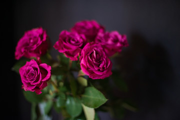scarlet roses bouquet of flowers on a leg in the interior of the restaurant at the celebration shop floristry wedding salon