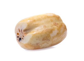 Lotus root  isolated on the white background