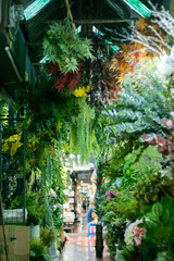Simulation flowers simulation trees store within the Chatuchak weekend market. Bangkok, Thailand.