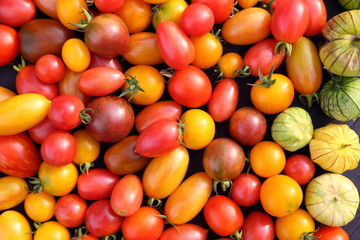 Tomatoes.