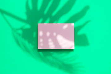 Obraz premium Tropical monstera palm leaf shadow with a blank white card frame