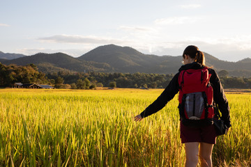 Beautiful traveler woman with backpack on rice fields in Thailand