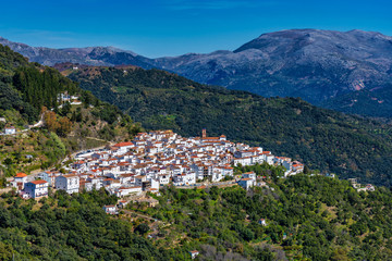 Fototapeta na wymiar White Andalusian village, pueblo blanco Algatocin. Province of Malaga, Spain