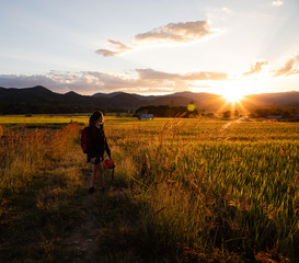 Beautiful traveler woman with backpack on rice fields in Thailand