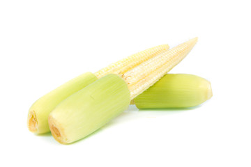 baby corn isolated on white background