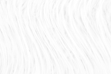 Background from natural fur. Animal Hair Background. Black and White Background.