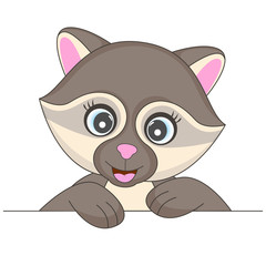 Raccoon funny face character isolated on a white background.