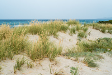 Fototapeta na wymiar Sand dunes on the beach