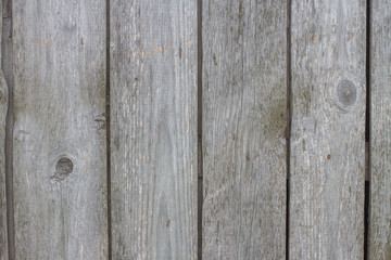 gray old wood texture background