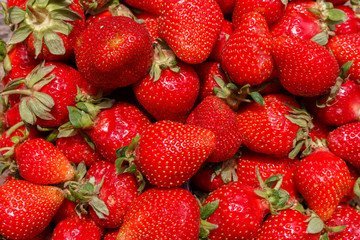 background from freshly harvested ripe strawberries, view from above. Appetizing And Delicious Beautiful Fresh red Strawberries.