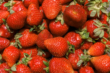 background from freshly harvested ripe strawberries, view from above. Appetizing And Delicious Beautiful Fresh red Strawberries.