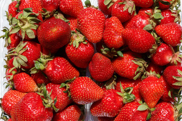 Closeup of beautiful fresh organic strawberries in plastic transparent boxes, view from above. Organic red berries background..