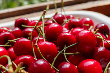 Close up of pile of ripe cherries with green stalks. cherry and sweet cherry harvest season