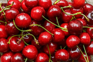 GMO free sweet cherry berries background. Ripe red wet Cherry just collected in a farm in the village.