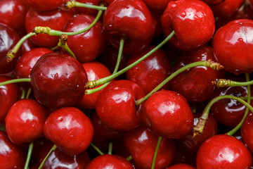 close-up bunch of washed GMO free organic cherries, fruit berries background. problem of chemistry and gmo in fruits, vegetables and berries.