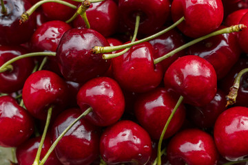 GMO free sweet cherry berries background. Ripe red wet Cherry just collected in a farm in the village.