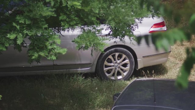 Silver car in the shade under a big green tree closeup