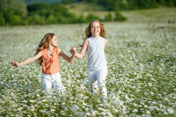 Naklejka na ściany i meble Beautiful children in the field with flowers. 