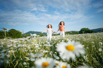 Beautiful children in the field with flowers. 