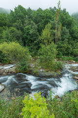 A long exposure of a flowing river among a green forest under a misty sky.