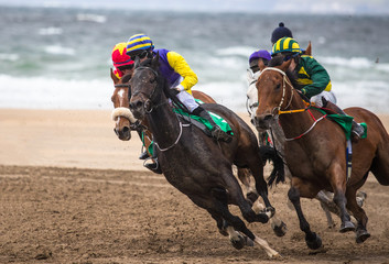 Galloping race horses competing for position, horse racing action on the beach