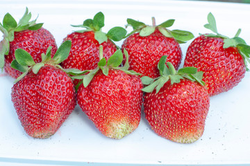 fresh strawberries isolated on white background