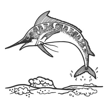 Swordfish marlin jumping from water sketch engraving vector illustration. Scratch board style imitation. Hand drawn image.