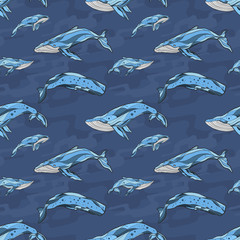whale hand drawn blue sea seamless pattern