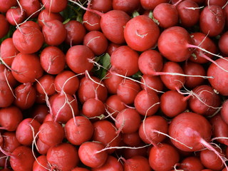 Bunch of red radishes in the market. Full frame of red radish. Food concept baner, poster.