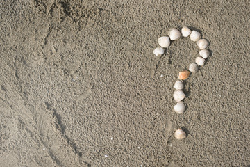 sea shells forming a question mark on a sandy beach. Concept of faq, travel tips and travel destinations