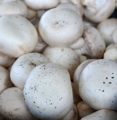 Fresh white button champignons mushrooms on the farmers' market. A lot of champignons in a basket. White mushrooms on the market.