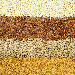 Obraz premium Brown Linseeds Golden Linseeds Sunflower Seeds Pearl Barley Healthy Superfood Seeds or Grain