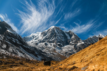 Annapurna-Berg in Nepal an einem sonnigen Nachmittag