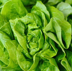 Salad at marketplace. Fresh green salad .