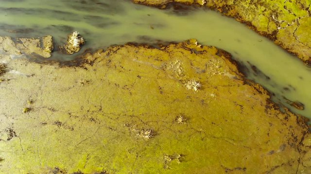 shot from the drone, beautifully colored marsh, film light and depth.
