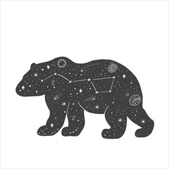 Bear silhouette with stars and constellations